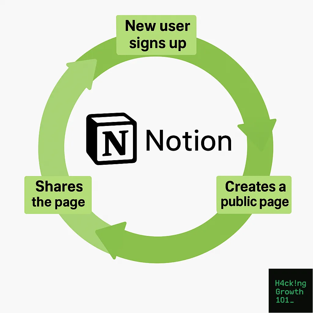 Three step circular diagram of Notion's usage loop: a new user signs up, creates a public page, and shares the page, which brings the next new user back to the start.